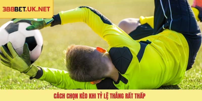 Cách chọn cửa ăn khi tỷ lệ thắng rất thấp