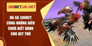 Đá Gà 388BET Cùng Những Điều Chưa Biết Dành Cho Bet Thủ