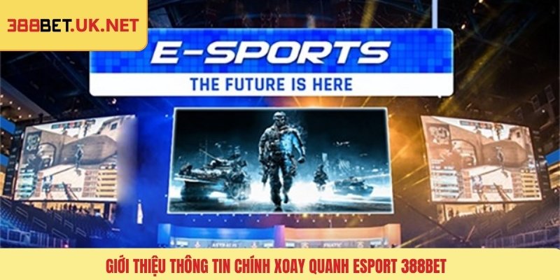 Giới thiệu thông tin chính xoay quanh Esport 388BET
