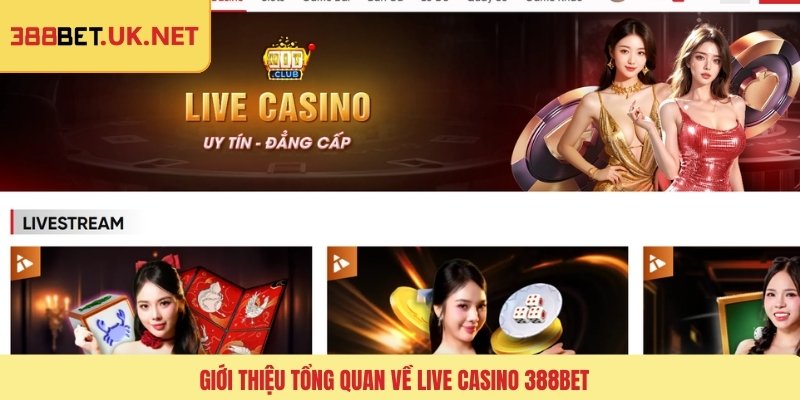 Giới thiệu tổng quan về live casino 388BET