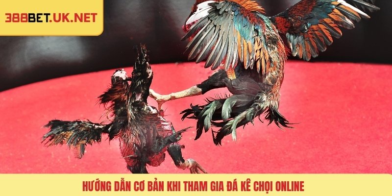 Hướng dẫn cơ bản khi tham gia đá kê chọi online