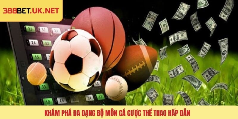 Khám phá đa dạng bộ môn cá cược thể thao hấp dẫn