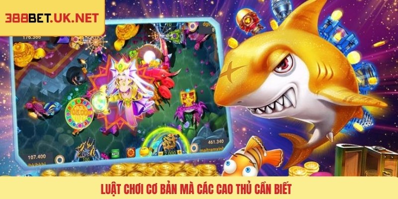 Luật chơi cơ bản mà các cao thủ cần biết