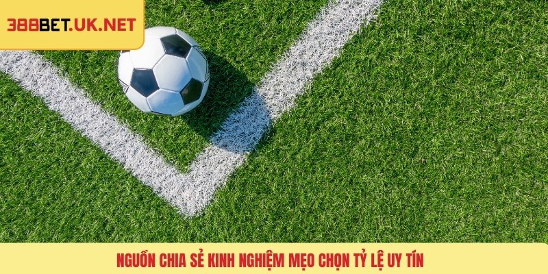 Nguồn chia sẻ kinh nghiệm mẹo chọn tỷ lệ uy tín