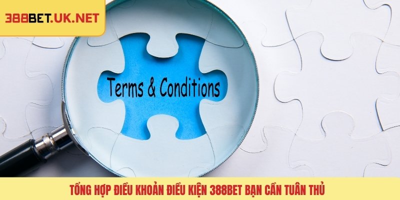 Tổng hợp điều khoản điều kiện 388BET bạn cần tuân thủ